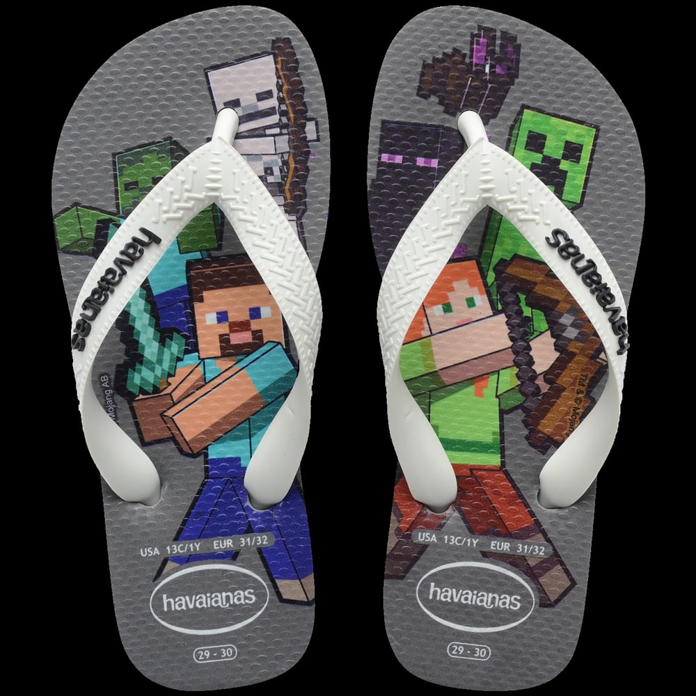 HAV. MINECRAFT