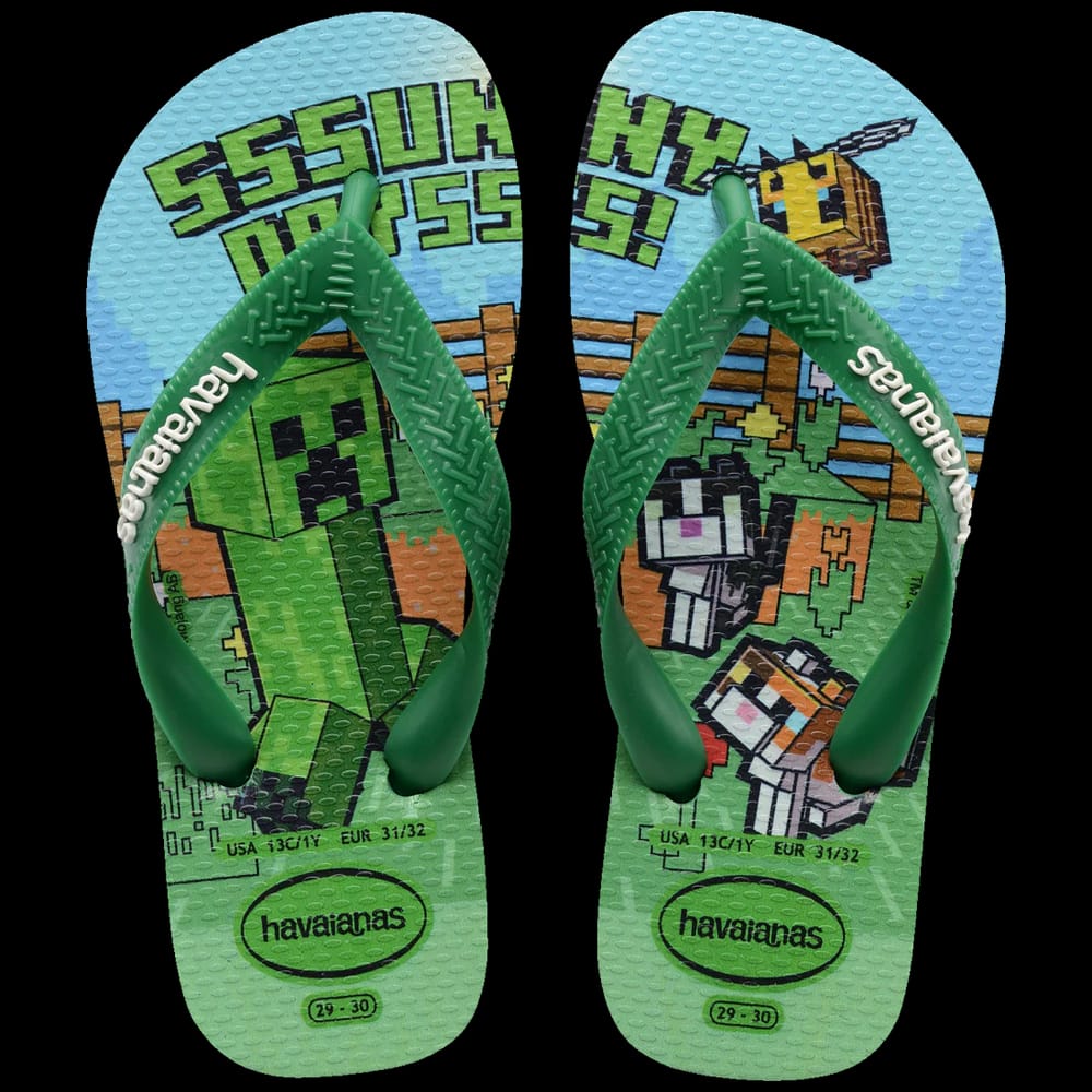 HAV. MINECRAFT