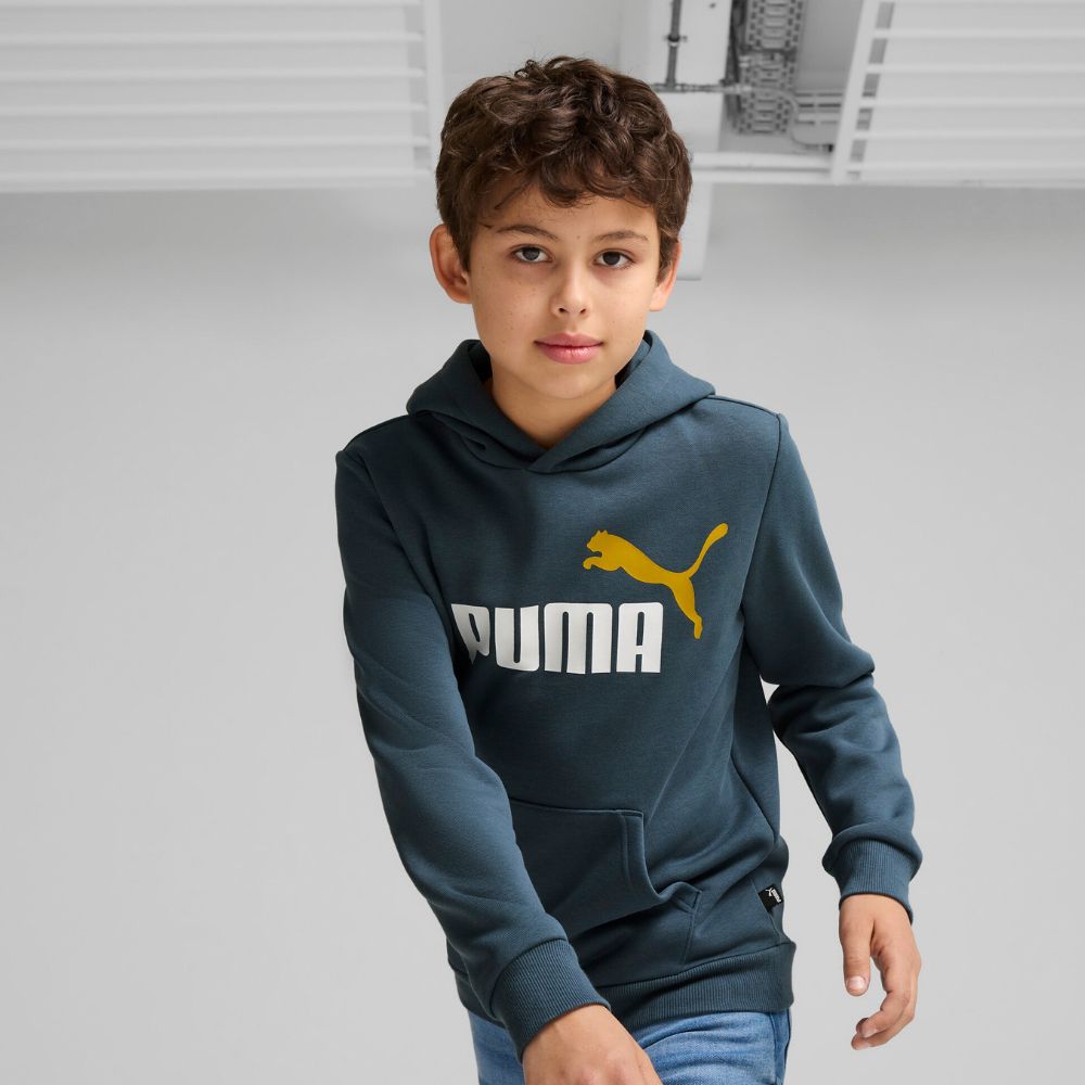 BIG LOGO HOODIE