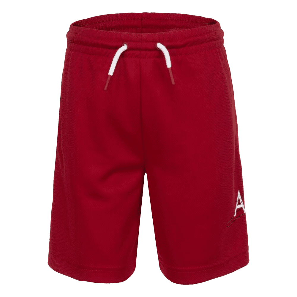 JUMPMAN MESH SHORT | Welcome to Petro Sports Online Shop