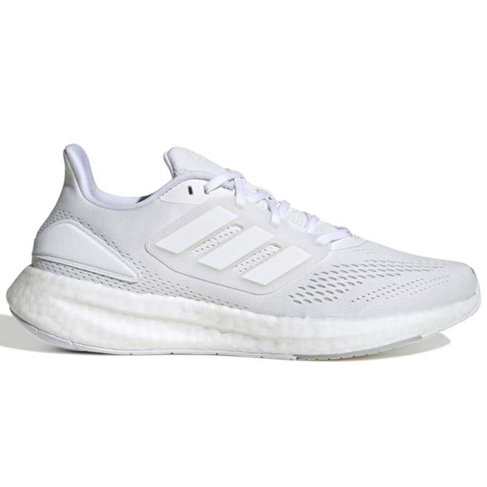 PUREBOOST 22
