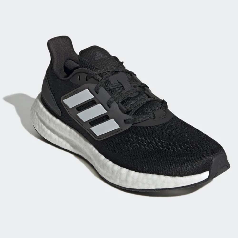 PUREBOOST 22