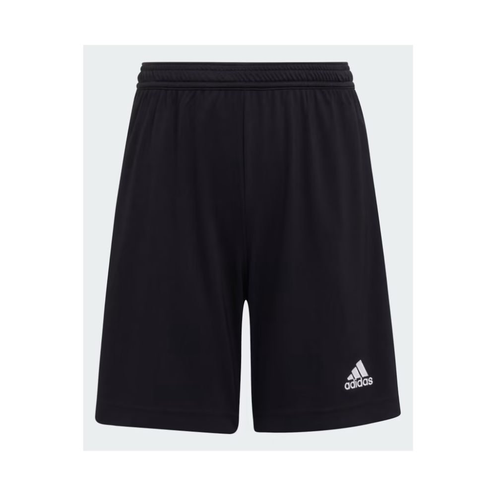 ENT22 SHORT Y