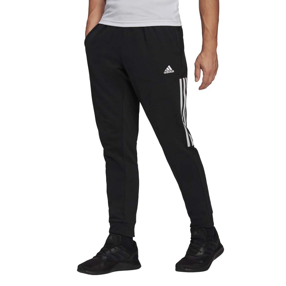 MOTION PANT