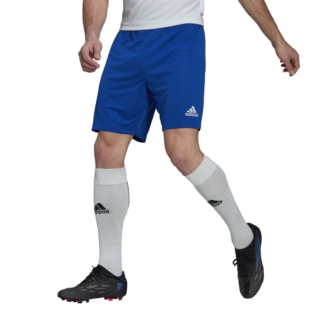 ENT22 SHORT