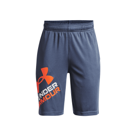 PROTOTYPE LOGO SHORTS