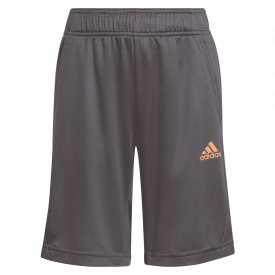 B.A.R SHORT